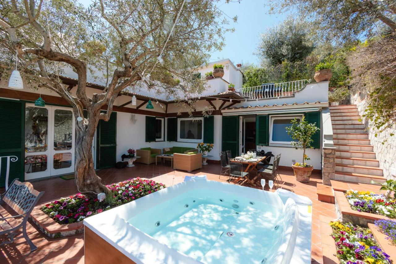 Eden Villa Sorrento Dış mekan fotoğraf