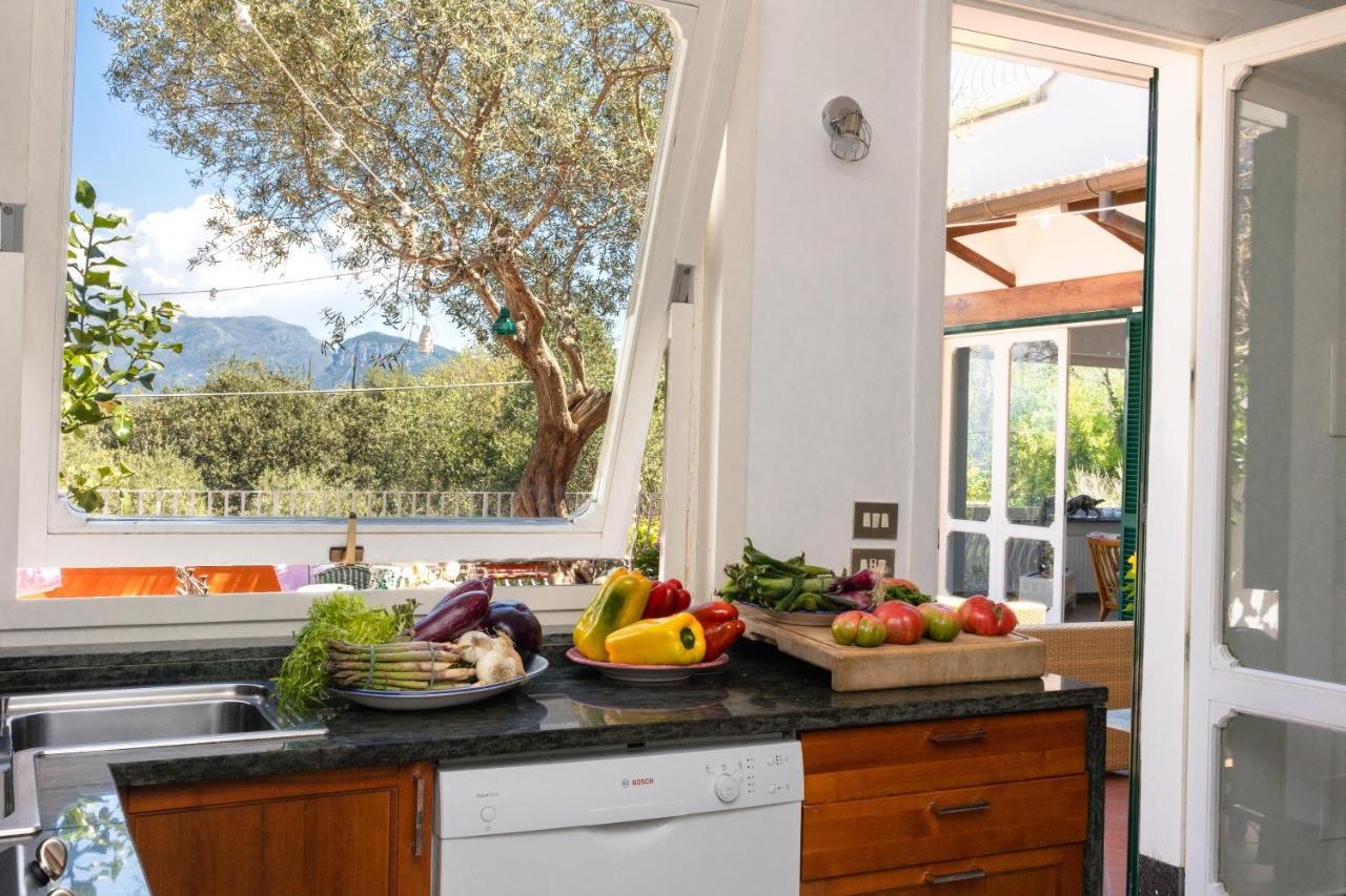 Eden Villa Sorrento Dış mekan fotoğraf